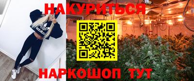 прущие крисы Новокубанск