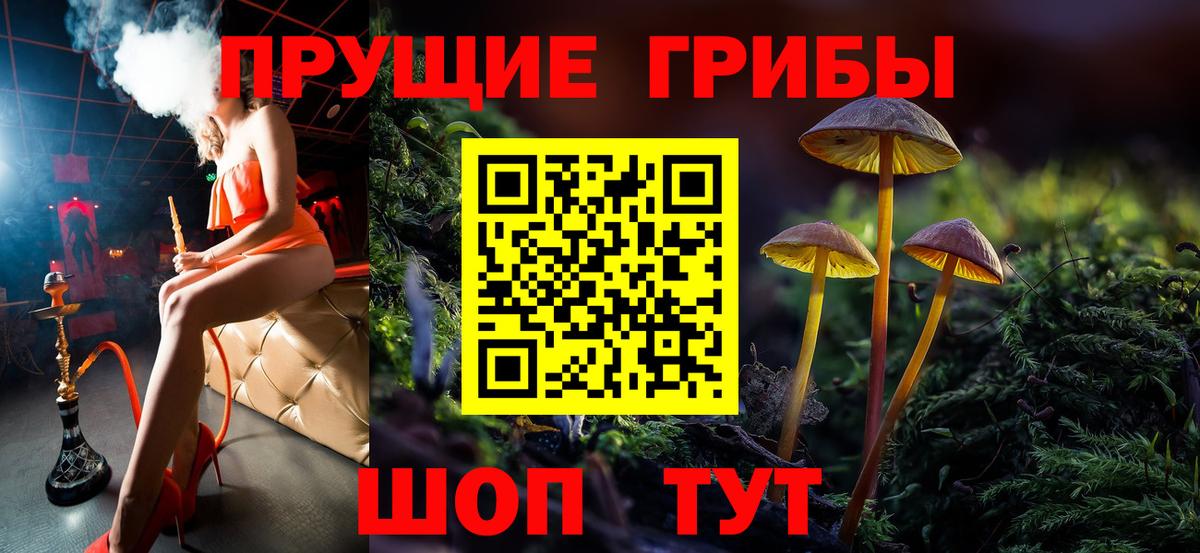 Галлюциногенные грибы Psilocybine cubensis Топки