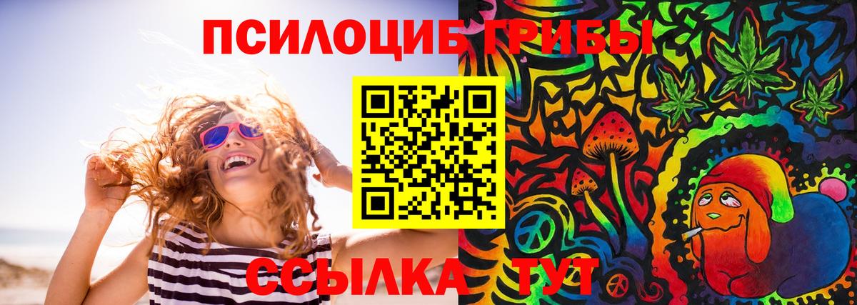 как найти закладки  Псилоцибиновые грибы Cubensis  Топки  Вход с VPN  Псилоцибиновые грибы прущие грибы 